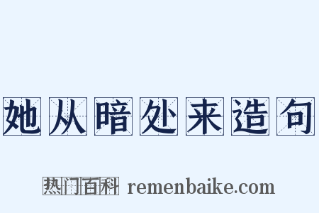 她从暗处来造句是什么意思的图片